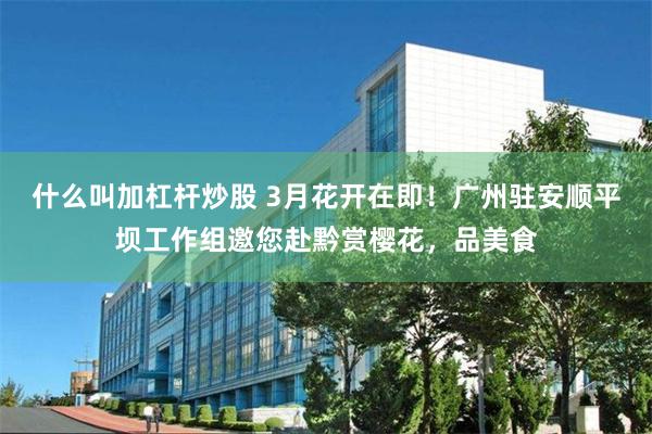 什么叫加杠杆炒股 3月花开在即！广州驻安顺平坝工作组邀您赴黔赏樱花，品美食