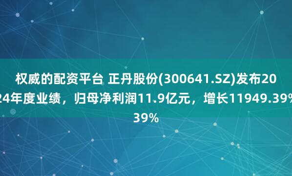 权威的配资平台 正丹股份(300641.SZ)发布2024年度业绩，归母净利润11.9亿元，增长11949.39%