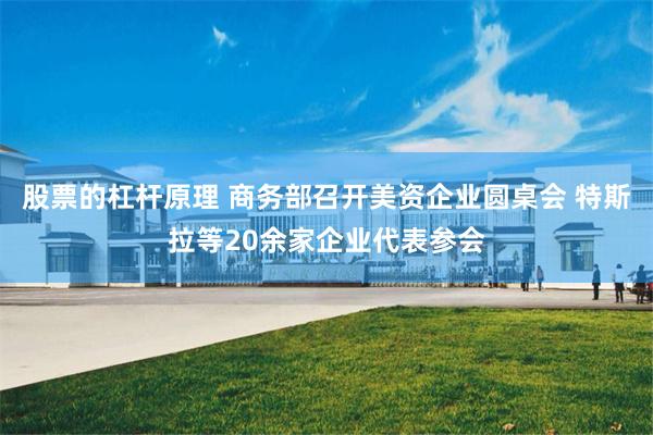 股票的杠杆原理 商务部召开美资企业圆桌会 特斯拉等20余家企业代表参会
