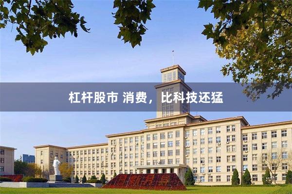 杠杆股市 消费，比科技还猛
