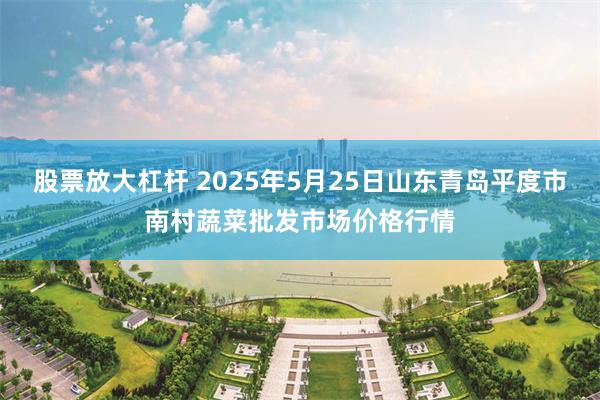 股票放大杠杆 2025年5月25日山东青岛平度市南村蔬菜批发市场价格行情