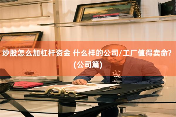 炒股怎么加杠杆资金 什么样的公司/工厂值得卖命? (公司篇)