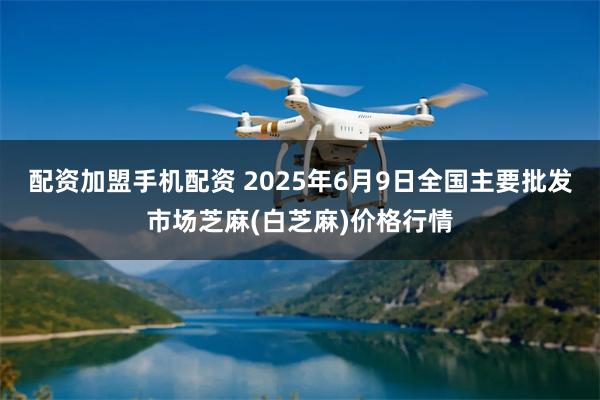 配资加盟手机配资 2025年6月9日全国主要批发市场芝麻(白芝麻)价格行情
