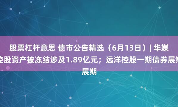 股票杠杆意思 债市公告精选（6月13日）| 华媒控股资产被冻结涉及1.89亿元；远洋控股一期债券展期